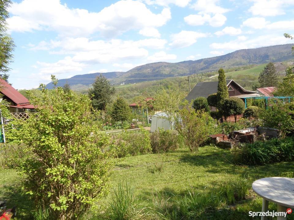 Ogródek działkowy ROD MALUCH BielskoBiała Bielsko-Biała sprzedam