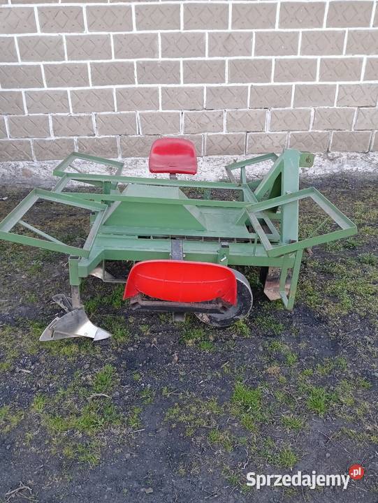 Sadzarka do ziemniaków podkiełkowanych Płońsk