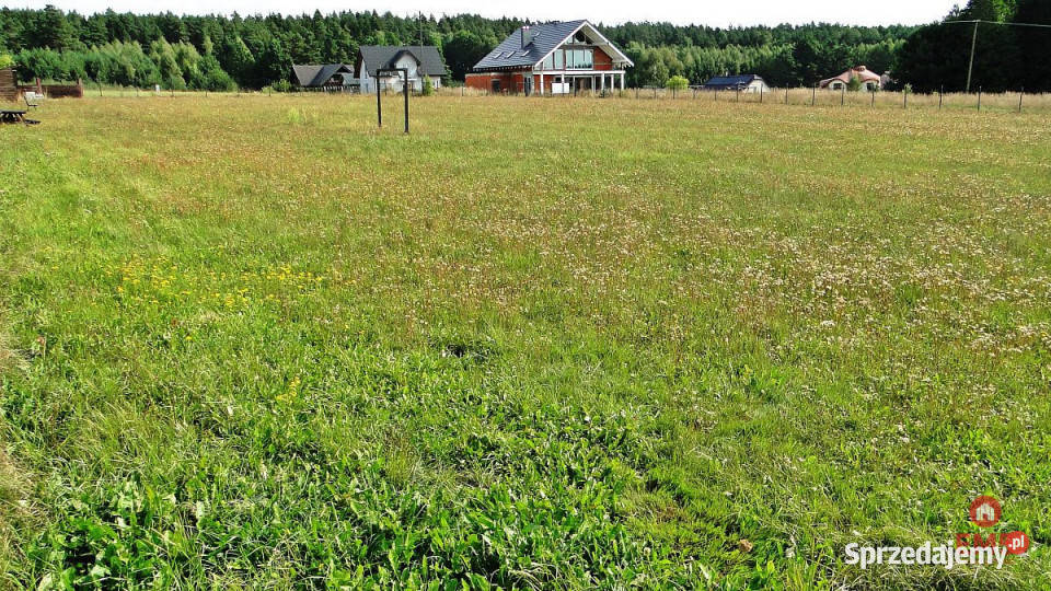 sprzedaży działki Letniki 4000m2 Sprzedaż