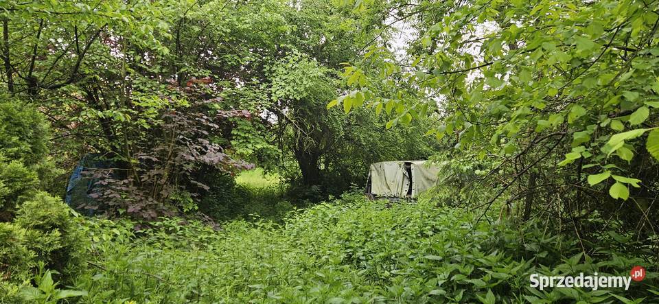 Działka zabudowana z sadem sprzedam