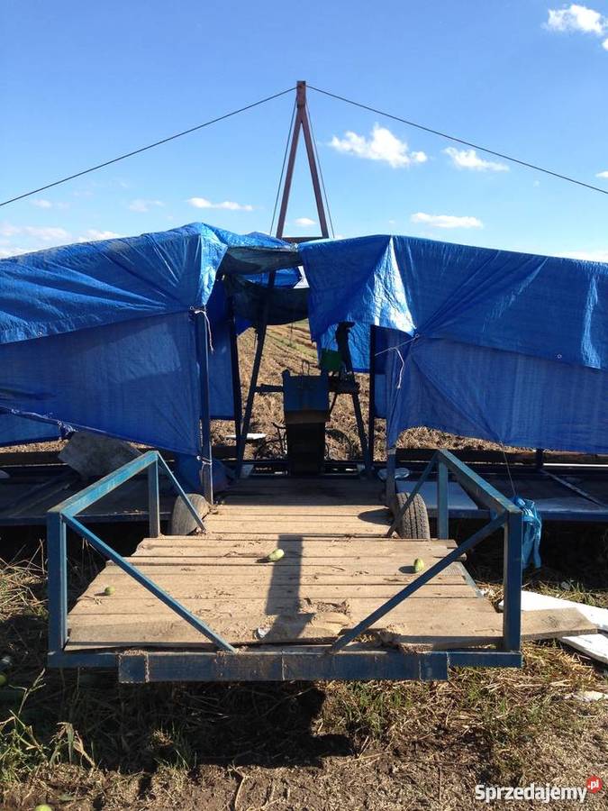 Samolot do zbioru ogórka Kombajny