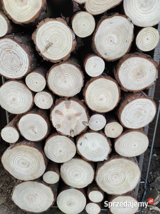 Wnęka kominka drewno pieńki sosna natura Kulno