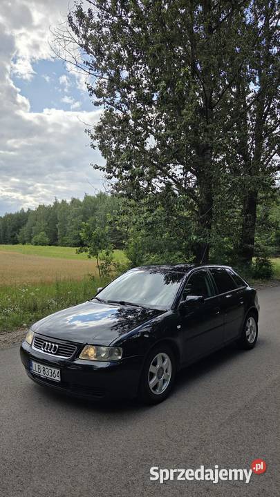 Audi A3 8L 19 TDI A3 lubelskie Lublin