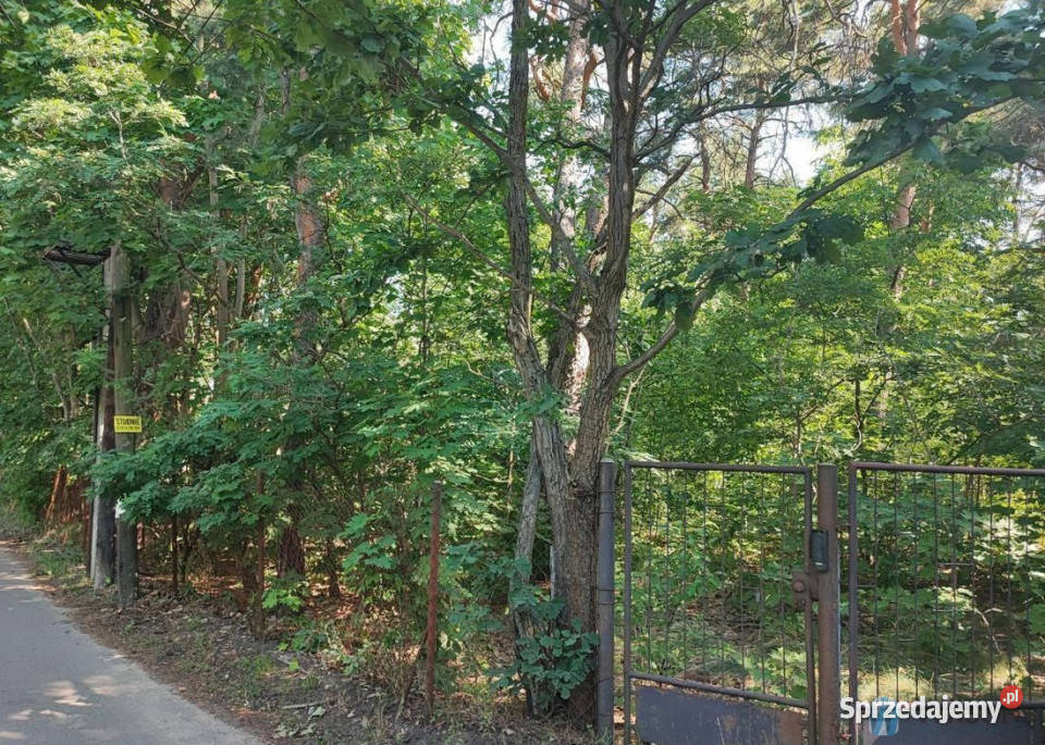 Działka do sprzedania Warszawa 1200m2 Nieruchomości