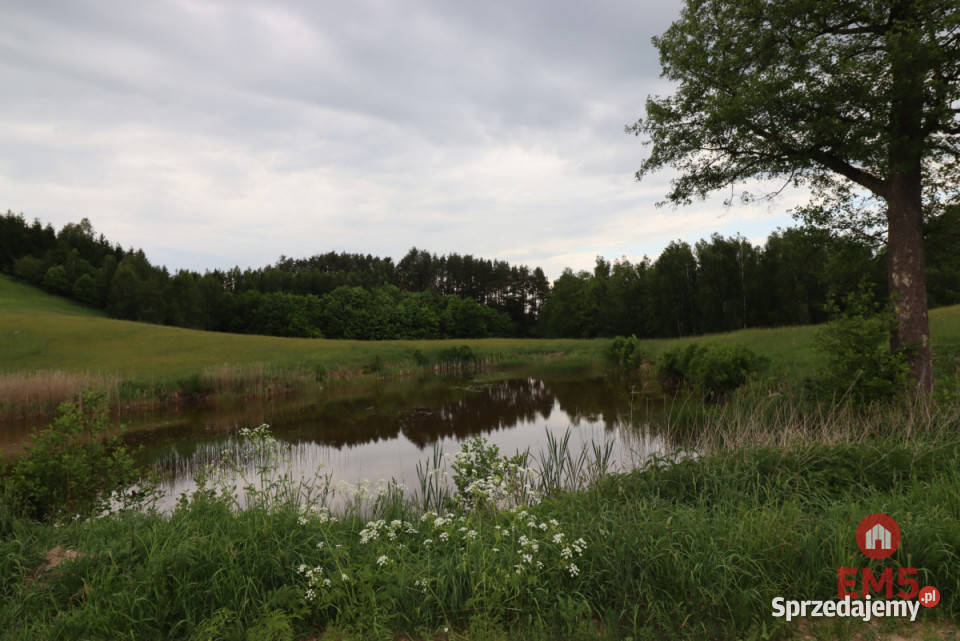 Dom wolnostojący do sprzedania 114 metry Udryn