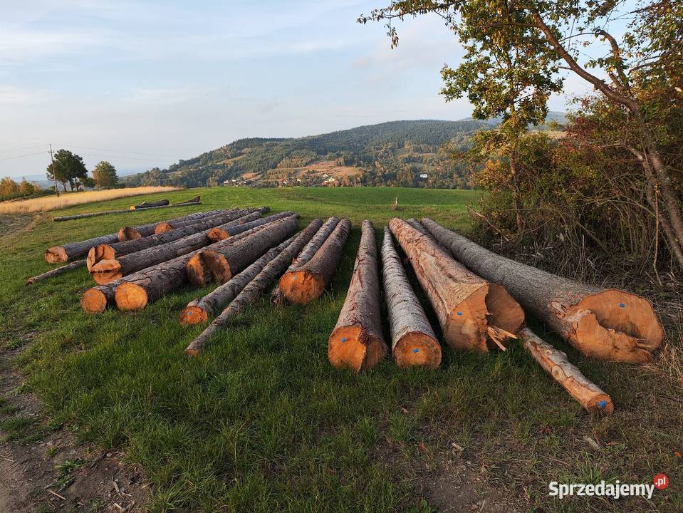 Drewno tartaczne jodła świerk długie odcinki Gorlice sprzedam