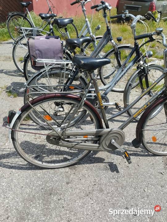 Rowery holenderskie Gazelle Ostrowiec Świętokrzyski
