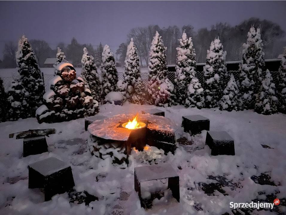 Palenisko ogrodowe stalowe czarne 150 Paleniska Ogród Poznań sprzedam