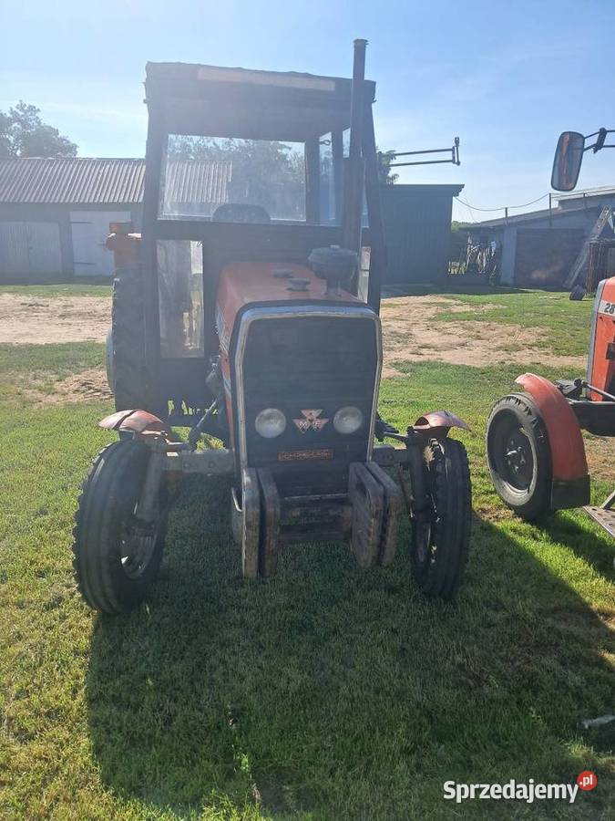 Massey Ferguson 255 Generalnym remoncie mazowieckie Płońsk sprzedam