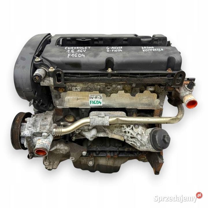 SILNIK F16D4 Chevrolet Cruze Aveo T300 16 16V Silniki kompletne Chełm