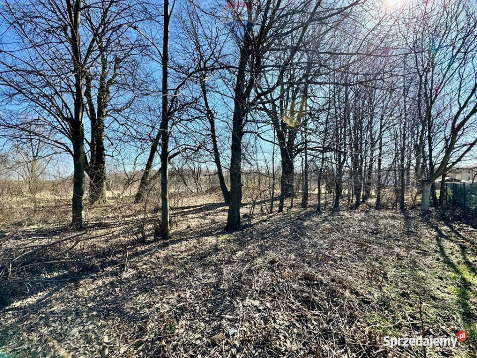 Działka budowlanousługowa Radlin Biertułtowy