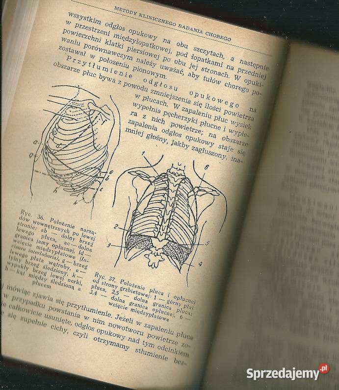 Choroby wewnętrzne podręcznik średnich szkół Łódź