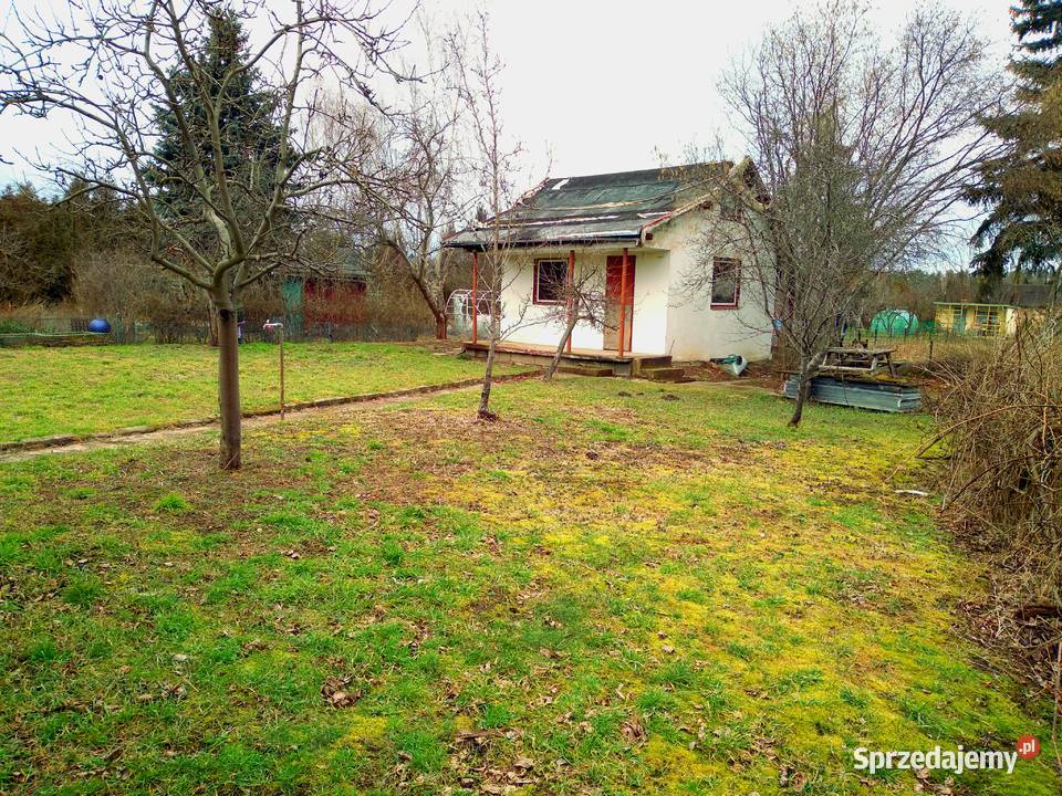 Działka ROD Sahara z domkiem 585m2