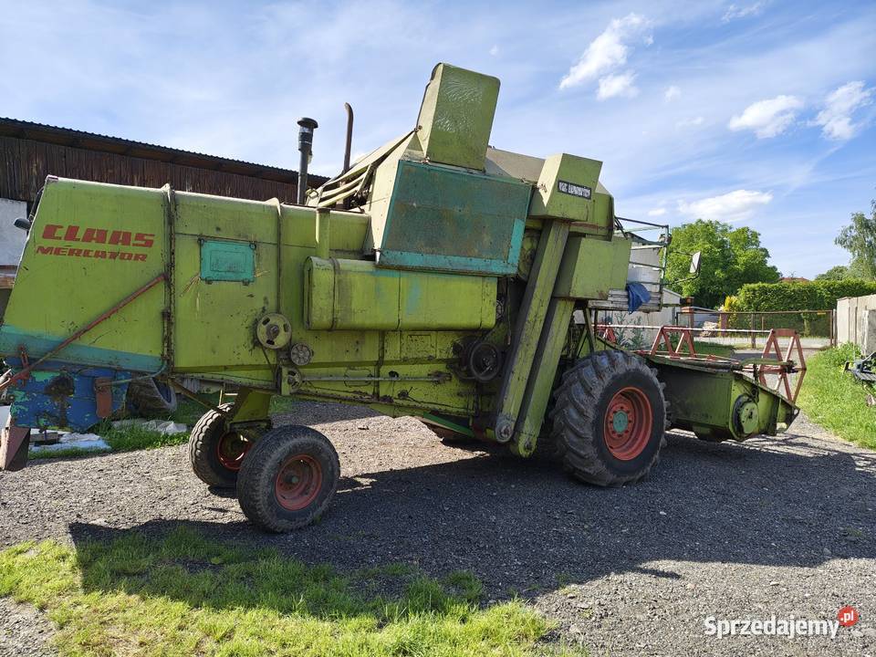 Kombajn Claas Mercator lubuskie Międzyrzecz