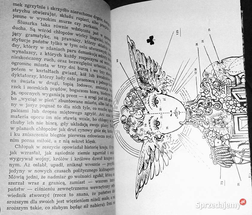 Dziecko ptaka przyniesione Andrzej Kijowski Pozostałe Chełm