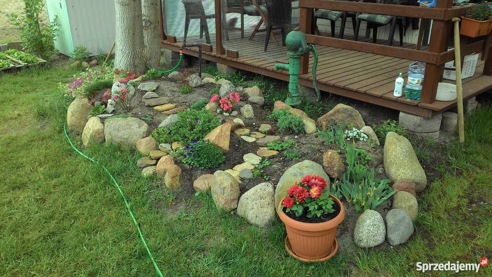 Działka ROD w Stefanowo mazowieckie