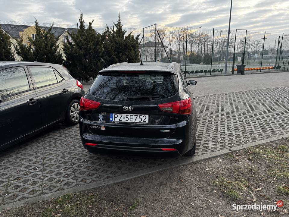 Kia Ceed 2016 16 Crdi 136 Lędyczek sprzedam