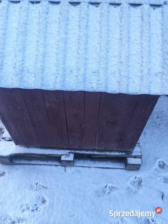 Buda psa duża Proszowice