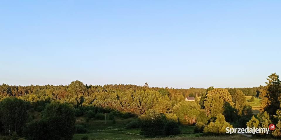 Działka z WZ w spokojnej okolicy niedaleko Sprzedaż