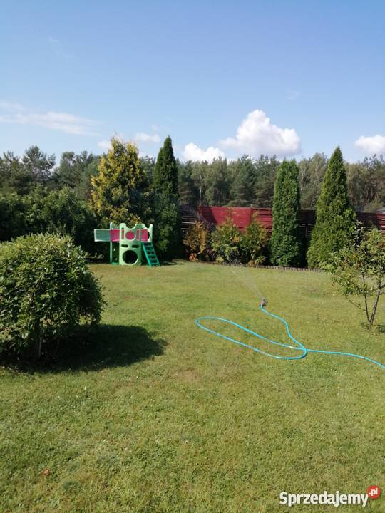 Sprzedam działkę rekracyjną ROD BRATEK taras kujawsko-pomorskie Solec Kujawski