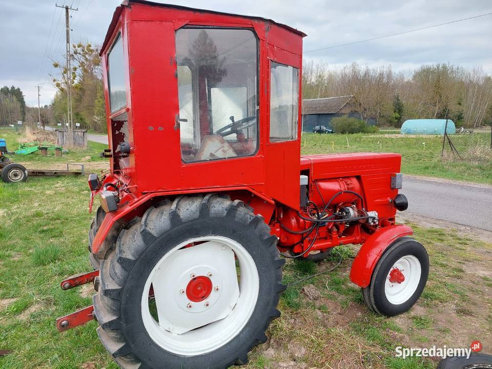 Władymirjec T25A Rusek Jawor Solecki