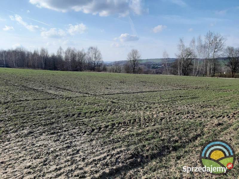 Brzoskwinia gm Zabierzów widokowa 77arowa 7714m2