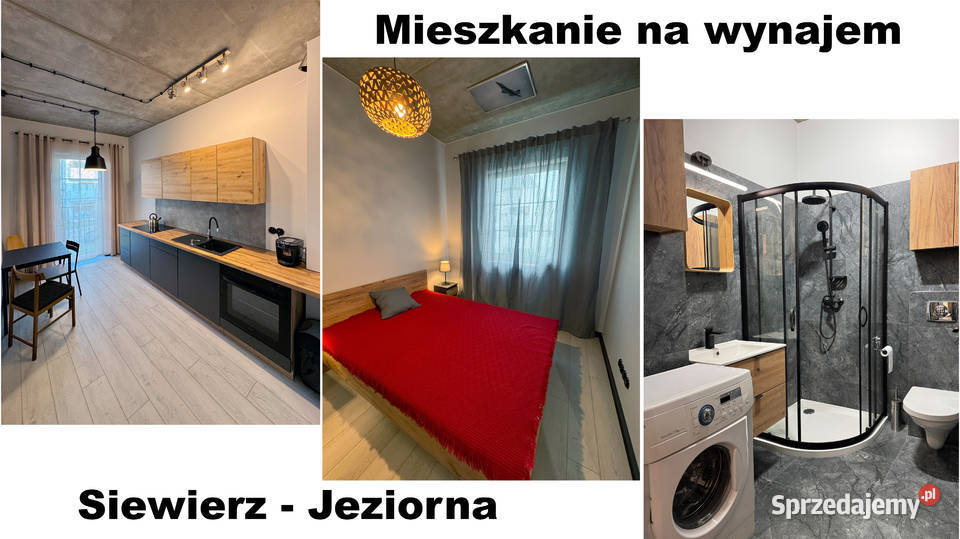 Mieszkanie do wynajęcia Siewierz Jeziorna Liczba pokoi 1 sprzedam