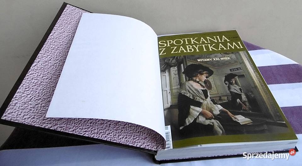 Spotkania z zabytkami oprawiony rocznik 2001