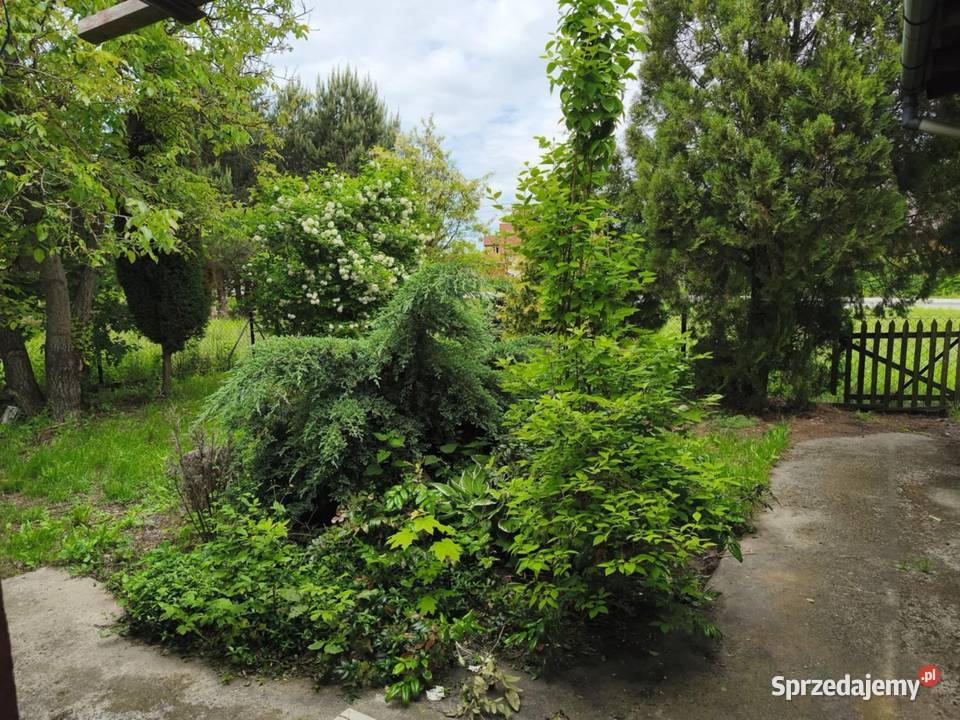 Dom w zielonej i spokojnej miejscowości 3100m2 Świdrówka sprzedam