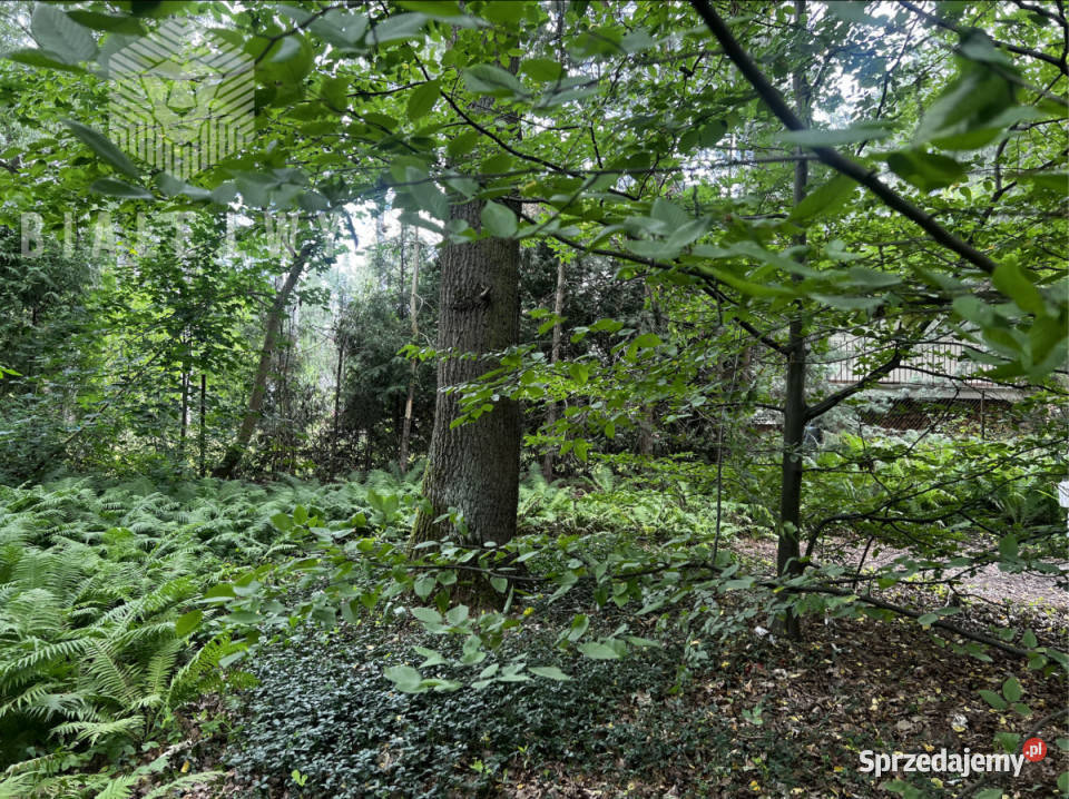 Sprzedaż działki 1150m2 Magdalenka Grunty i działki