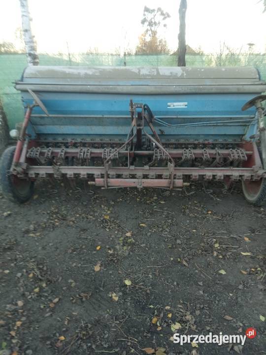 Siewnik isaria Iłowiec