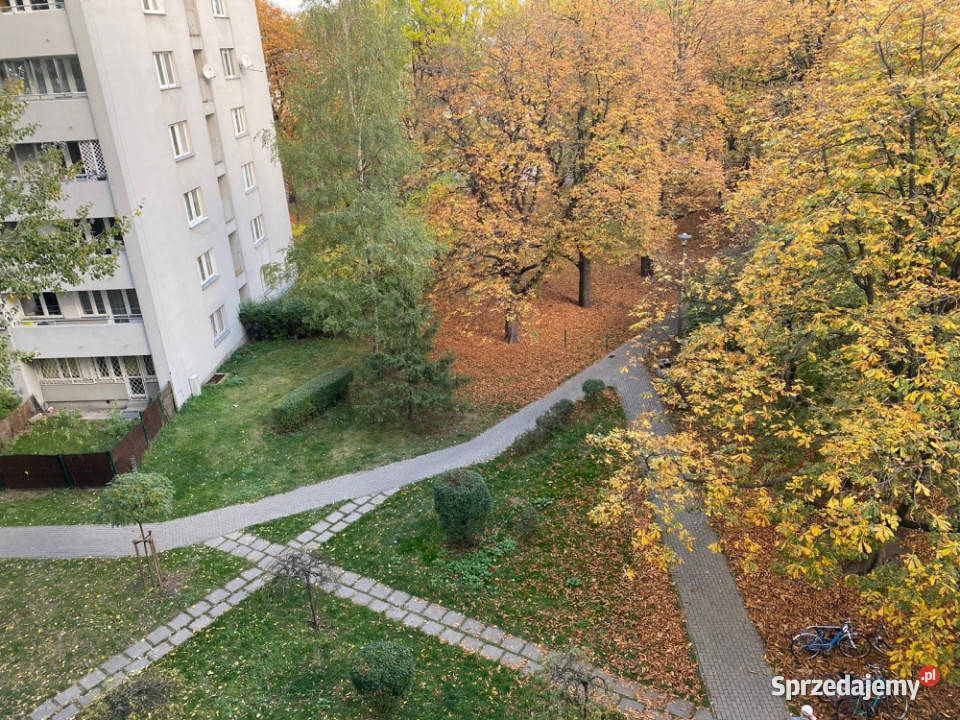 Metrze Marymont i Parku Bezpośrednio Kawalerka Warszawa