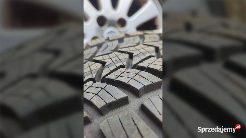 Alufelgi z oponami zimowymi 2055516 Dębica Frigo Krasnystaw