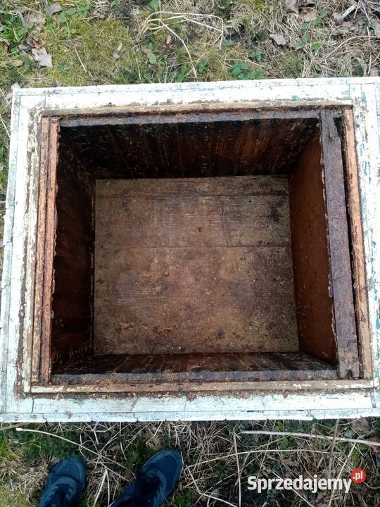 ule wielkopolskie Turznica