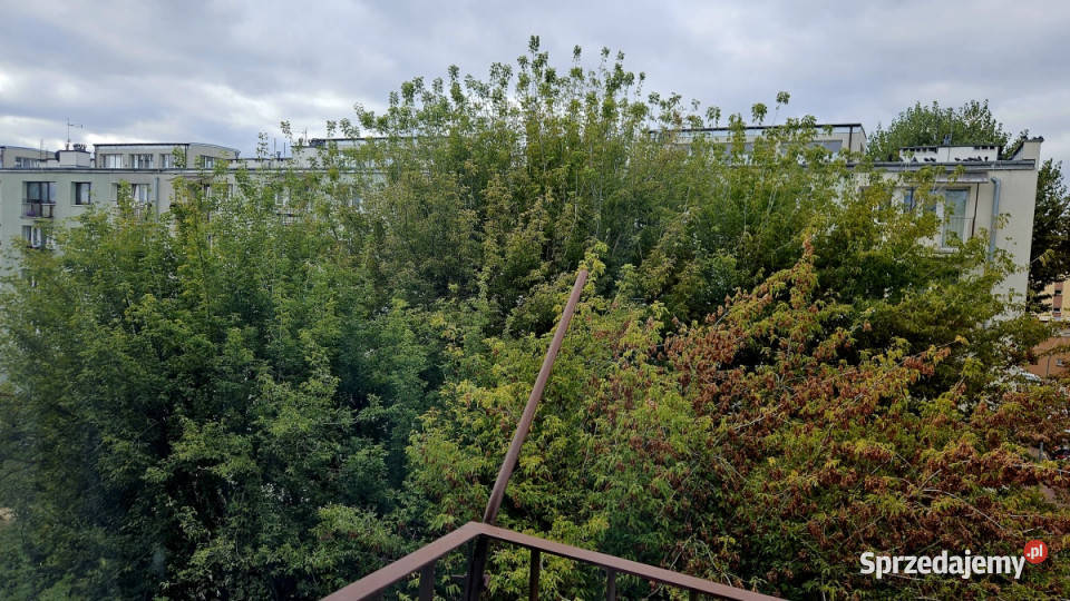 Wołomin centrum 2 pokoje remoncie balkon
