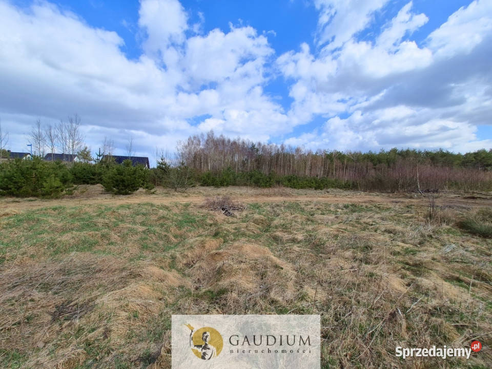 Przystanek NATURA działka pod lasem Kobysewo