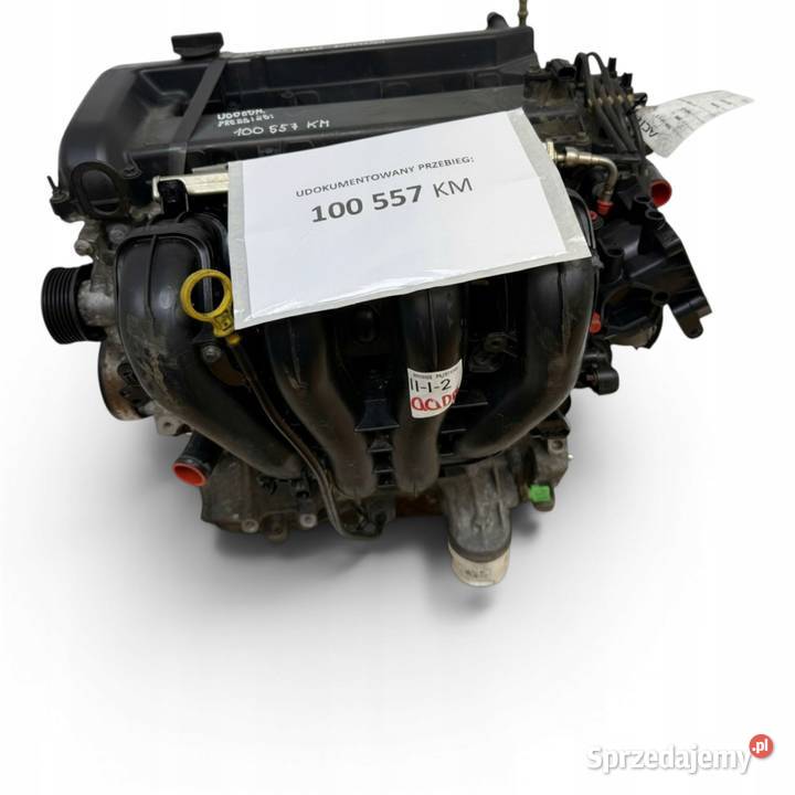SILNIK QQDB Ford Focus II MK2 C C 18 16V 125 Chełm sprzedam