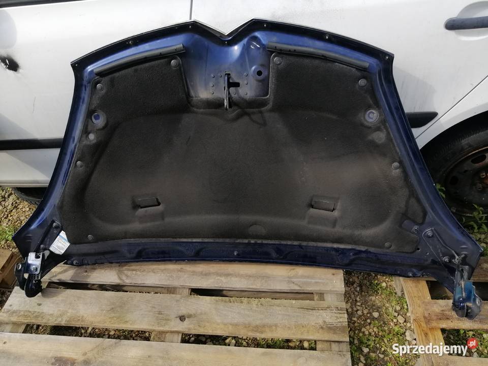 Citroen C4 Picasso błotniki maska zderzak xenon Jastrzębie-Zdrój
