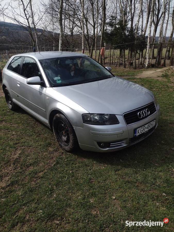 Audi a3 8p wszystko na części diesel Brzostek
