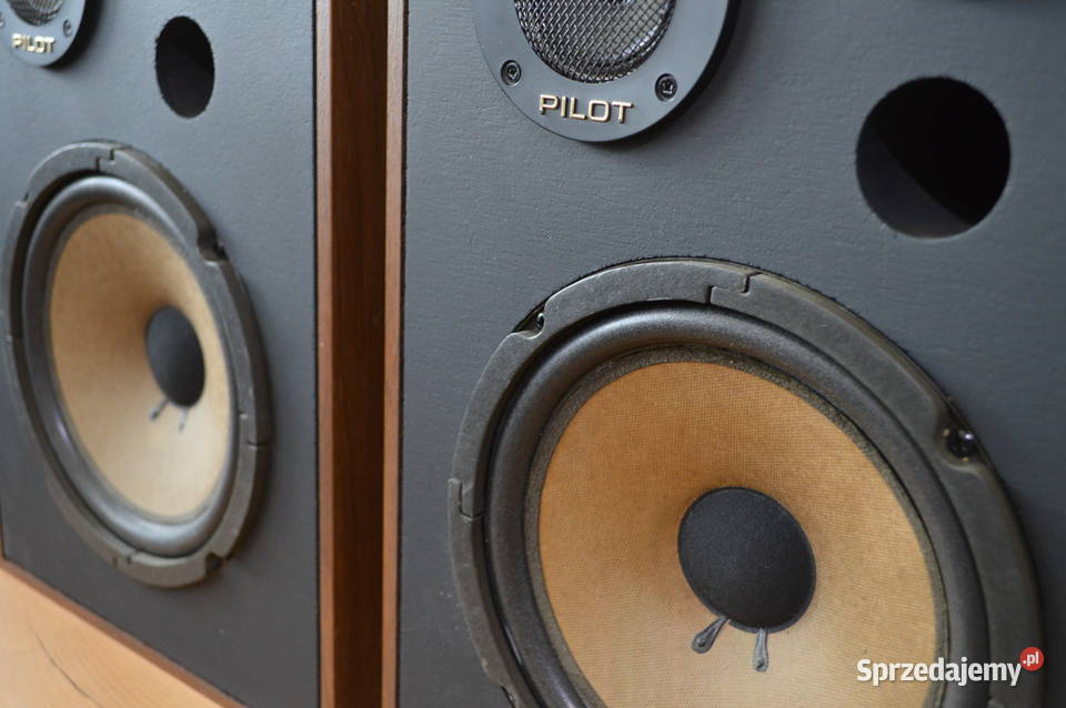 Dynamiczne Monitory PILOT SB 260 PCM Ładne