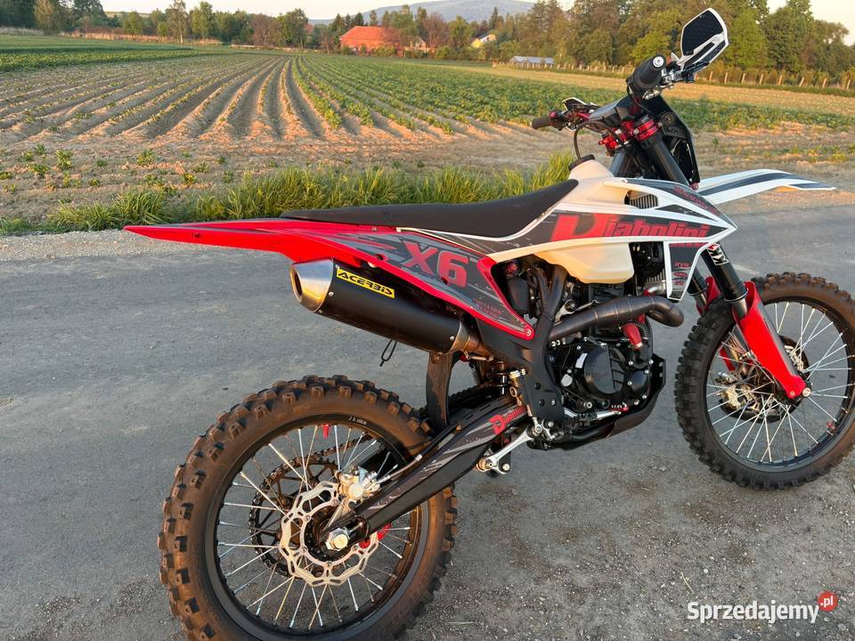 Diabolini x6 300 18mth