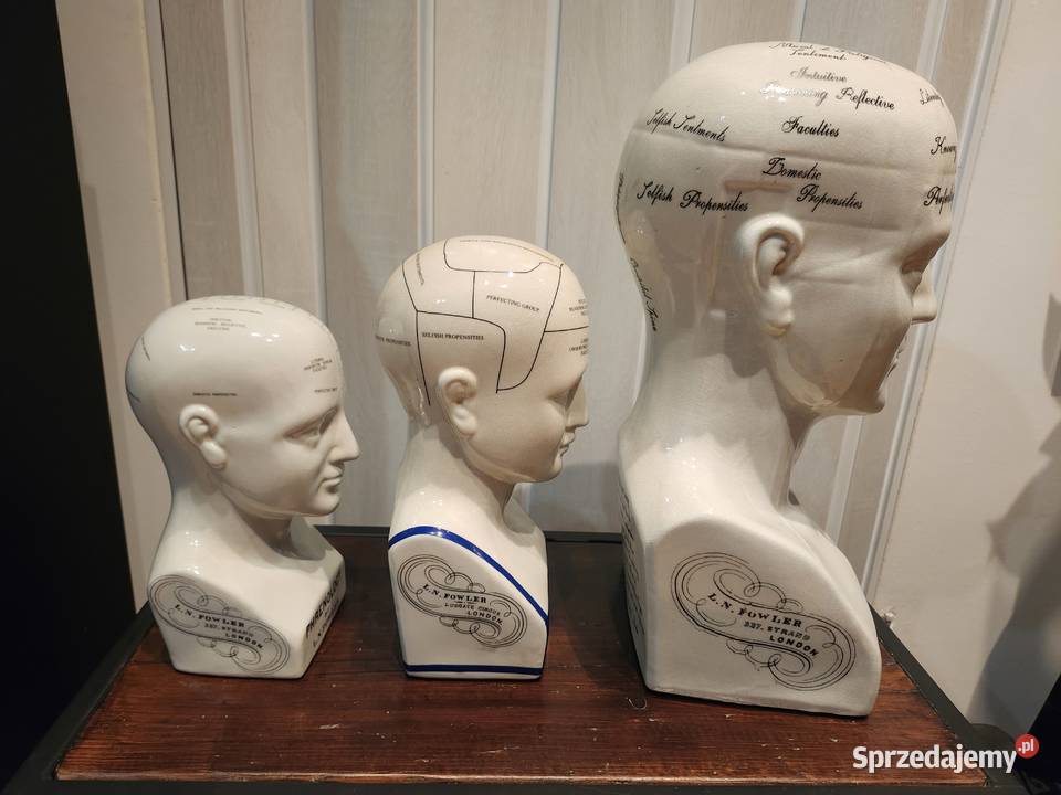 Głowy medyczne PhrenologyFrenologia Police