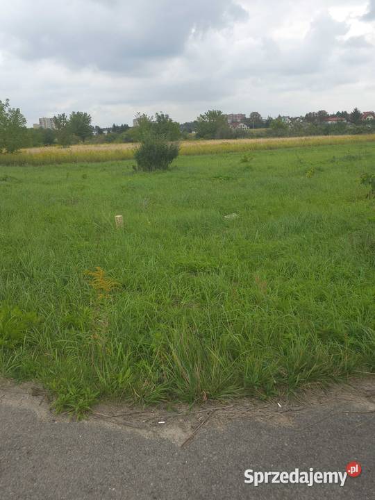 Konotopa 561m2 Inwestycyjna inwestycyjna Sprzedaż