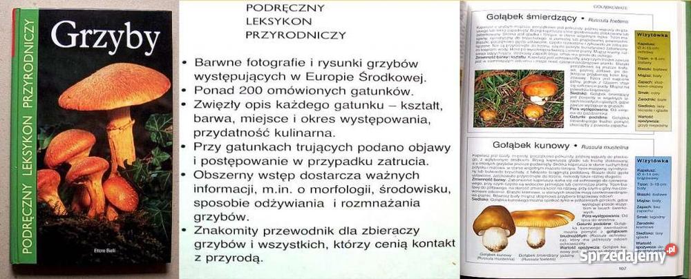 GrzybyPodręczny Leksykon Przyrodniczy zachodniopomorskie Szczecin