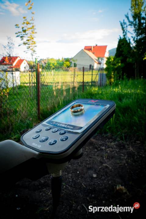 Usługi wykrywaczem metaliodnajdywanie zgubionej Katowice