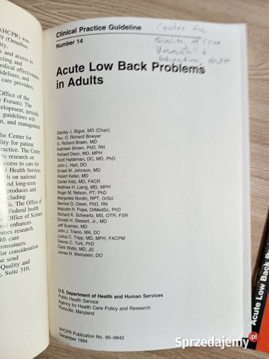 Acute low back problems in adults sprzedam