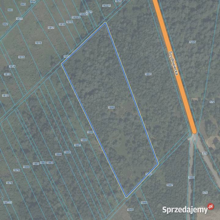 Nieruchomość gruntowa niezabudowana 37400 ha Smagów sprzedam