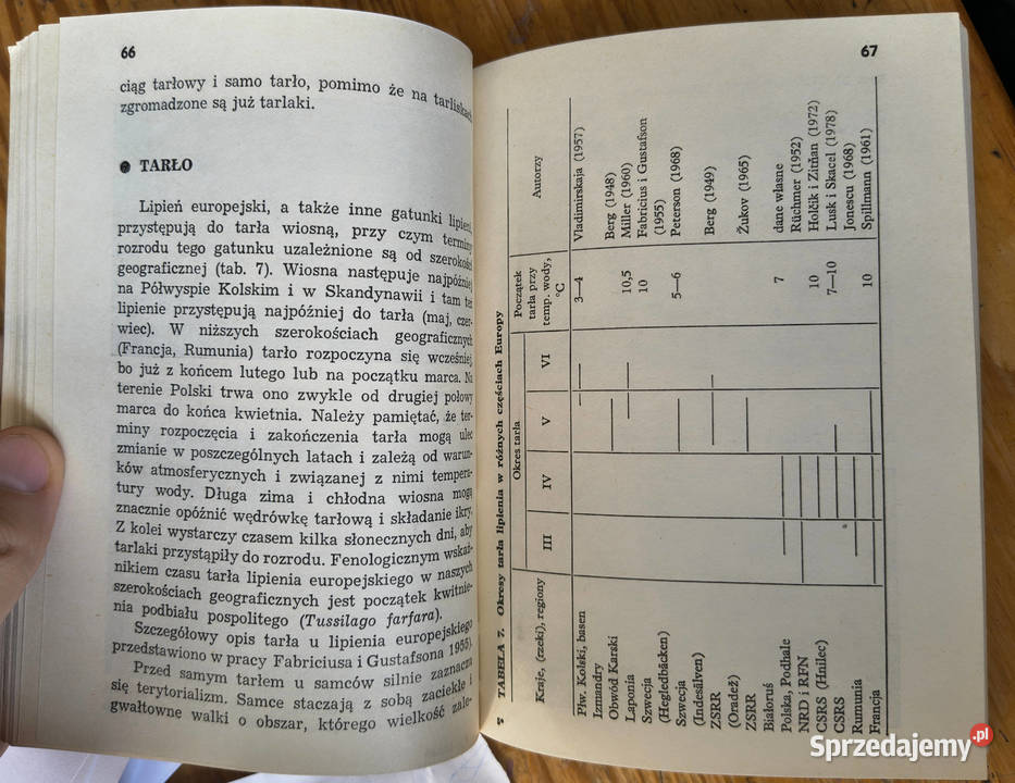 Kipień Witkowski Kowalewski Kokurewicz śląskie Sosnowiec sprzedam