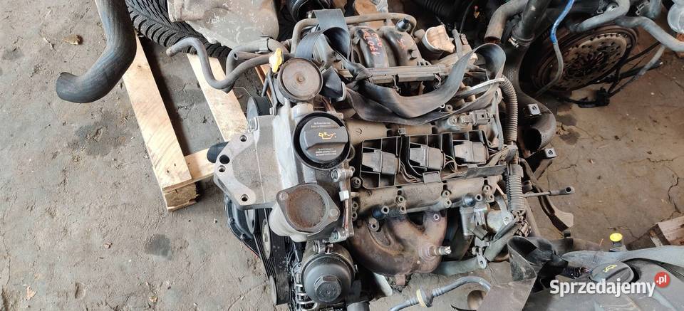 VOLKSWAGEN POLO IV 9N3 2007 SILNIK KOMPLETNY AZQ śląskie