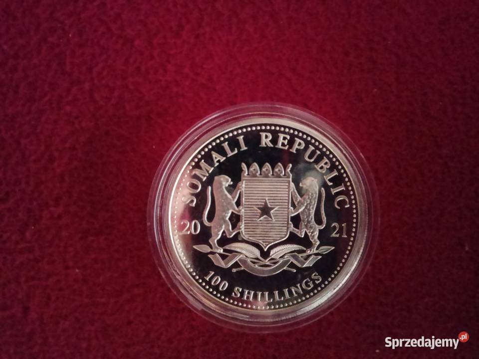 Srebrna moneta 1 uncja Słoń Somalijski Rzeszów sprzedam